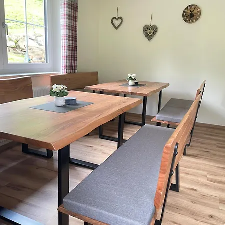 Rotenbichler Tatil Evi Schladming